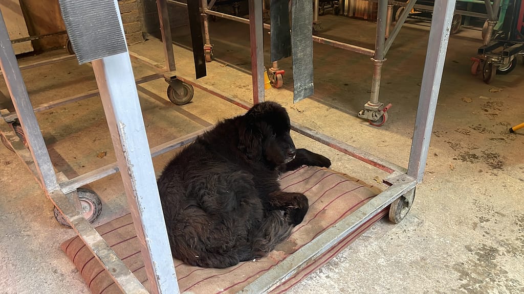 polished concrete team